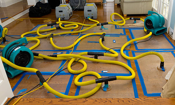 Professional Emergency Water Removal technician working in Rutland, IA